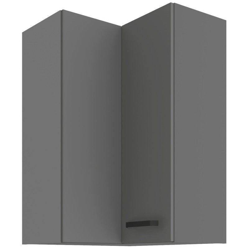 Horní skříňka rohová NESA 60x60 GN-90 2F (90°)